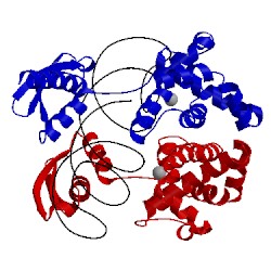 Image of CATH 2ez6