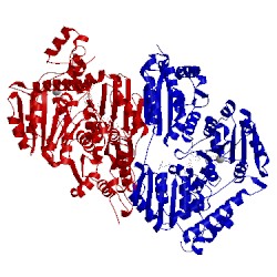 Image of CATH 2ez9
