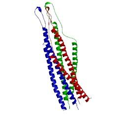 Image of CATH 2ezp