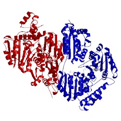 Image of CATH 2ezu