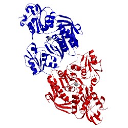 Image of CATH 2f00