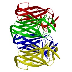 Image of CATH 2f08