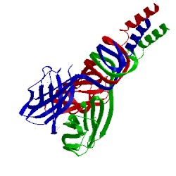 Image of CATH 2f0c