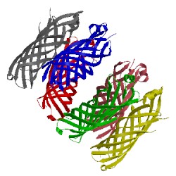 Image of CATH 2f1v