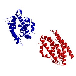 Image of CATH 2f2g