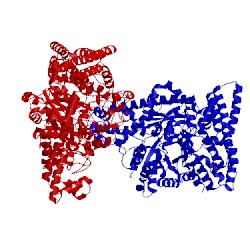 Image of CATH 2f3o