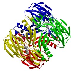 Image of CATH 2f4l