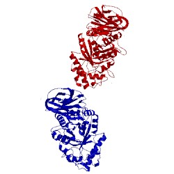 Image of CATH 2f61