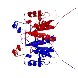 Image of CATH 2f62