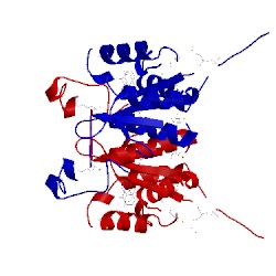 Image of CATH 2f64