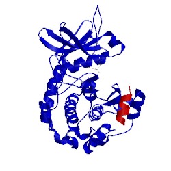 Image of CATH 2f7z