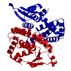 Image of CATH 2f8f