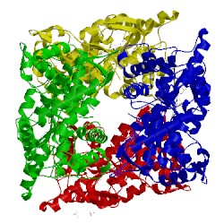 Image of CATH 2f9q