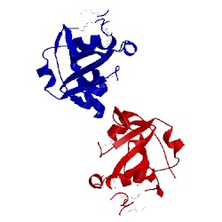 Image of CATH 2f9s