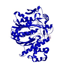 Image of CATH 2fa0