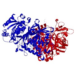 Image of CATH 2faf