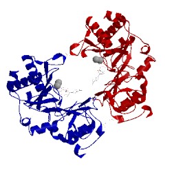 Image of CATH 2faq