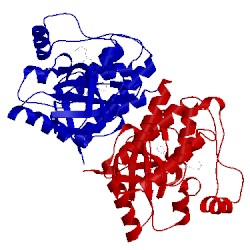 Image of CATH 2fb8