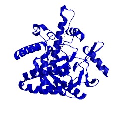 Image of CATH 2fc1