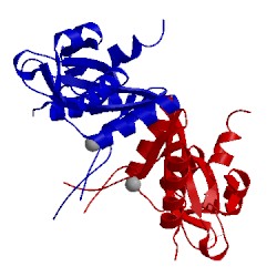 Image of CATH 2fco