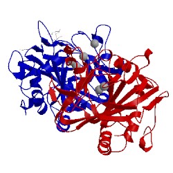 Image of CATH 2fcv