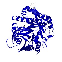 Image of CATH 2fdm