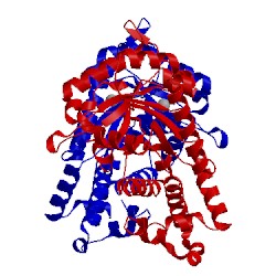 Image of CATH 2fds