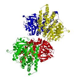 Image of CATH 2fdu