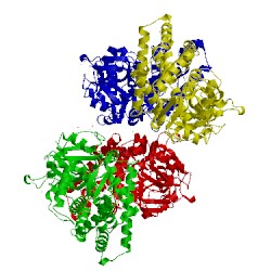 Image of CATH 2fdv