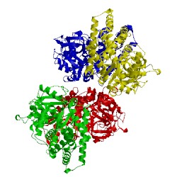 Image of CATH 2fdw