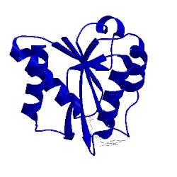 Image of CATH 2fdx