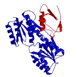 Image of CATH 2fep