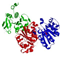 Image of CATH 2fex