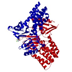 Image of CATH 2ff4