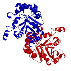 Image of CATH 2ffi