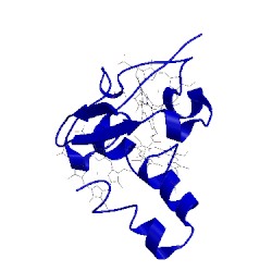 Image of CATH 2ffn