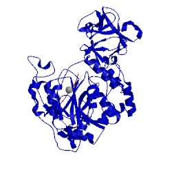 Image of CATH 2ffu
