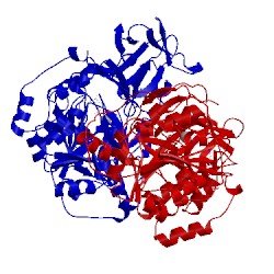Image of CATH 2ffv