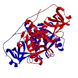 Image of CATH 2fg0