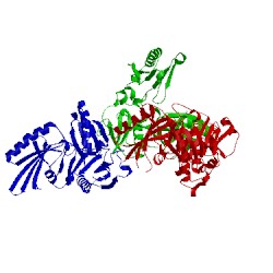 Image of CATH 2fh4
