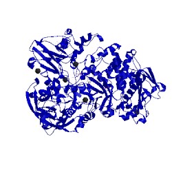 Image of CATH 2fhf