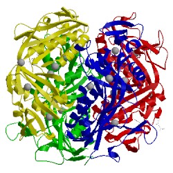 Image of CATH 2fhk