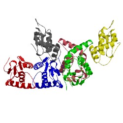 Image of CATH 2fip