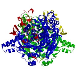 Image of CATH 2fjb