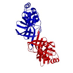 Image of CATH 2fjr