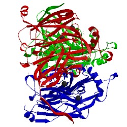 Image of CATH 2fjs