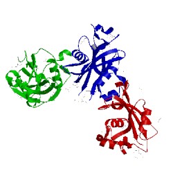 Image of CATH 2fkb
