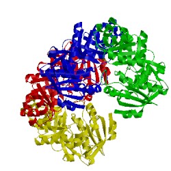 Image of CATH 2fkp