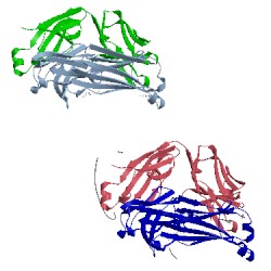 Image of CATH 2fl5