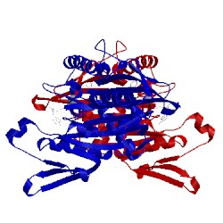 Image of CATH 2fl6